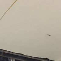 Bush Temple-Interior Plaster Restoration