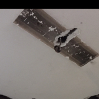 Bush Temple-Interior Plaster Restoration