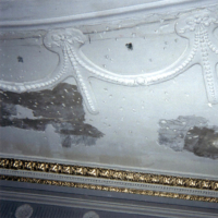 Historical Plastering Restoration and Ornamental Plastering at the Lucas Theatre
