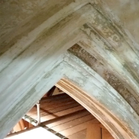 Historical Plastering Restoration at Holy Name Cathedral 6 Historical Plastering Restoration at Holy Name Cathedral