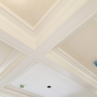 Plaster Cornice Install in Private Residence